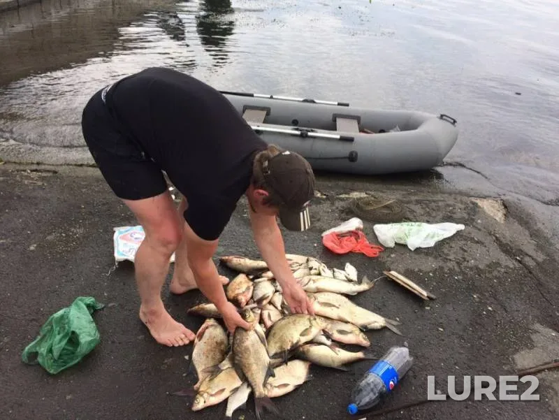 Bream — Volga, Jul 03, 2019