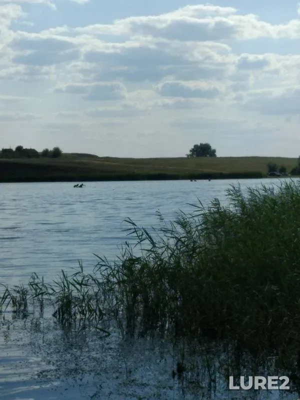 Crucian carp — Tarlyk, Jul 21, 2019