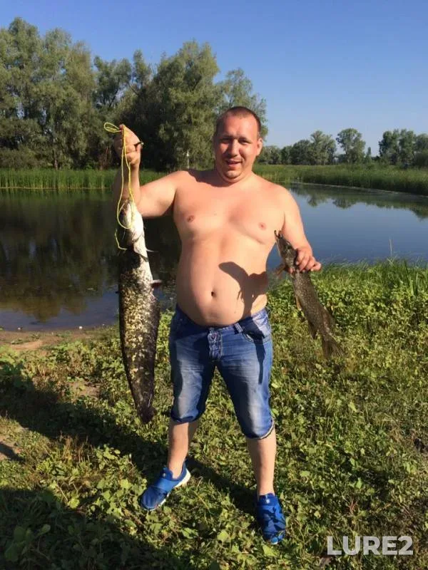 Wels catfish, Pike — Bolshoy Karaman, Jul 21, 2019