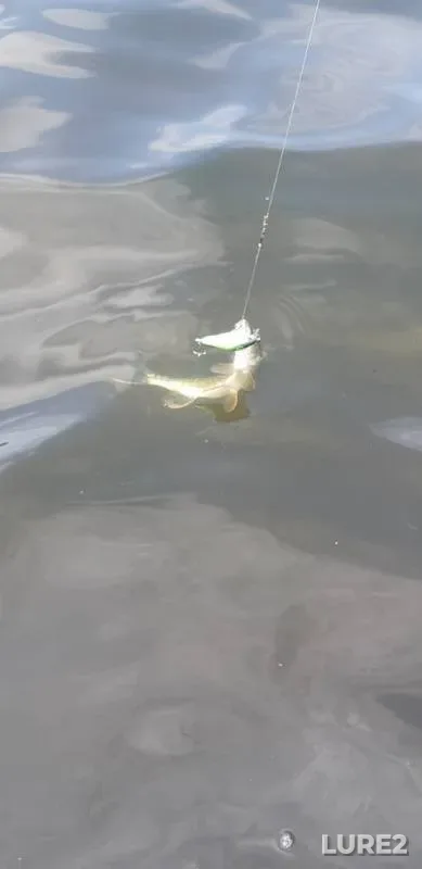 Pike — Uy, Jun 23, 2019