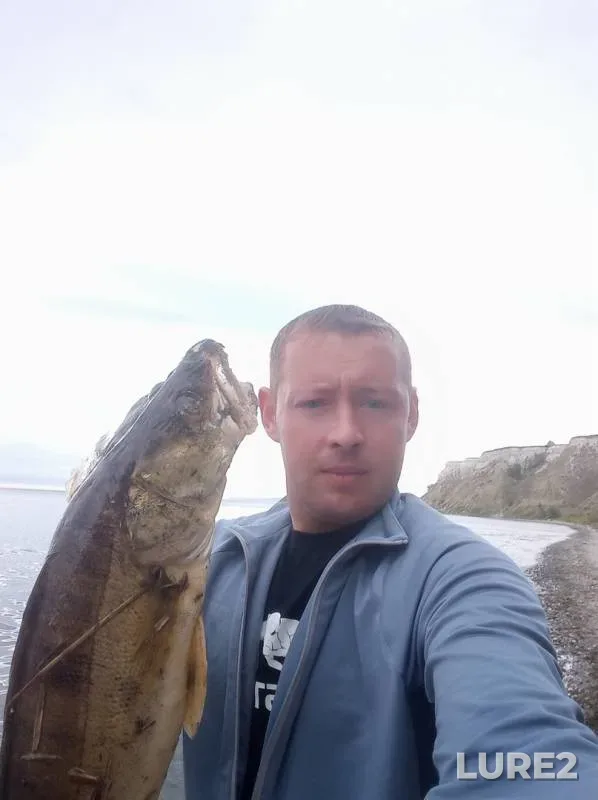 Zander — Saratovskaya oblast, Aug 11, 2019