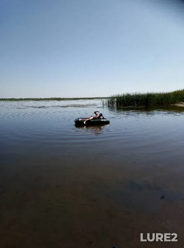 Pike — Volga, Aug 16, 2019