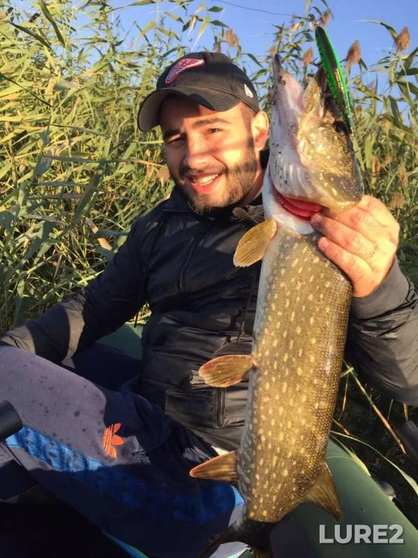 Pike — Volgogradskaya oblast, Aug 31, 2019