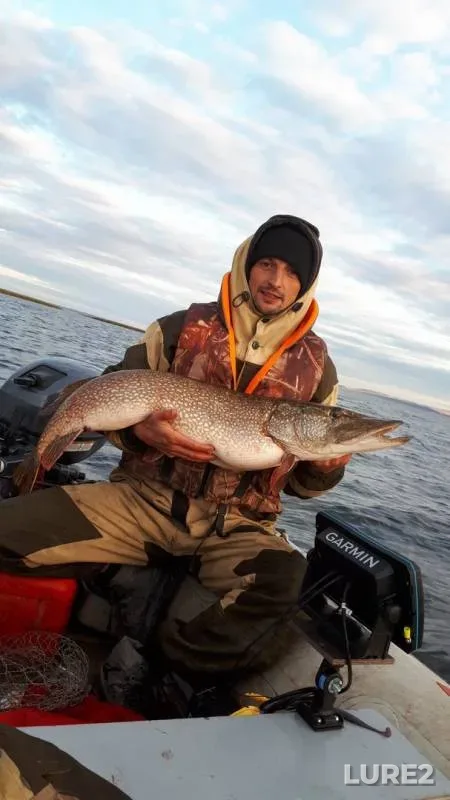 Pike — Saratovskaya oblast, Oct 13, 2019