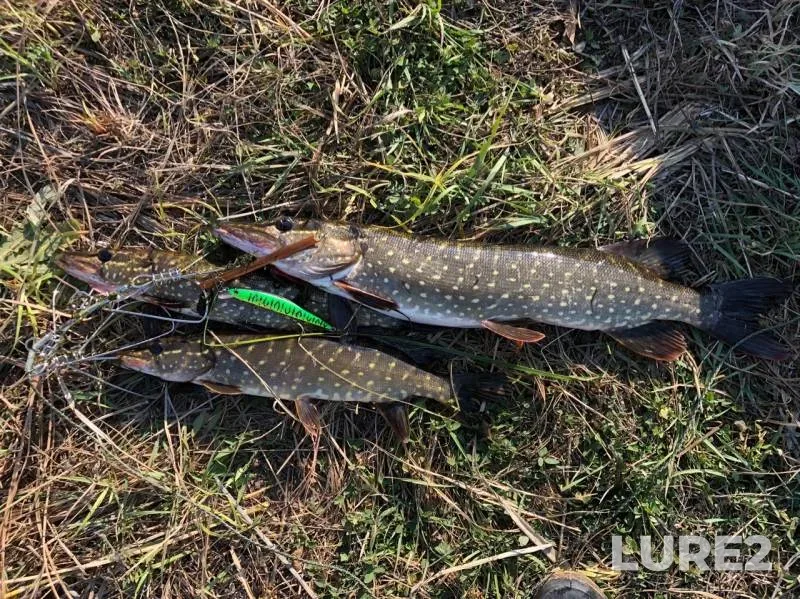 Pike — Zelyonoye, Oct 15, 2019