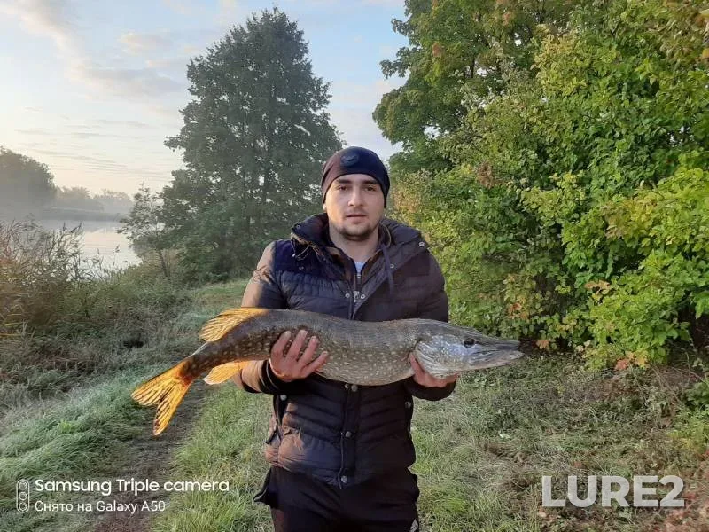 Pike — Turmasovka, Sep 29, 2019