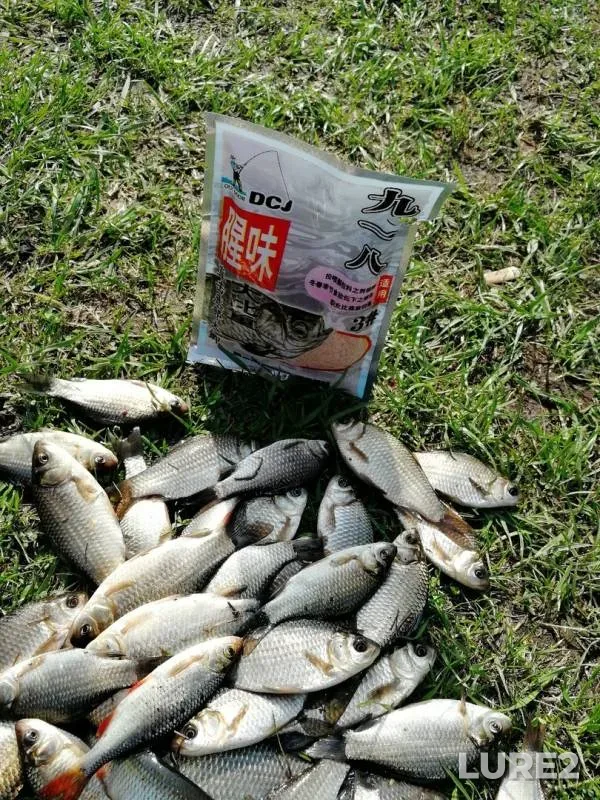Crucian carp, Roach — Krugloye, Apr 17, 2019