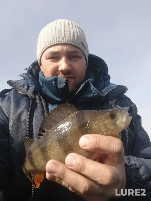 Perch, Pike — Krivets, Apr 18, 2019