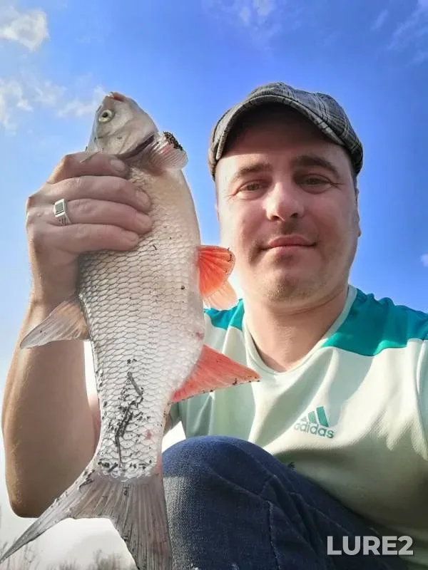 Ide — Bystraya Sosna, Apr 23, 2019