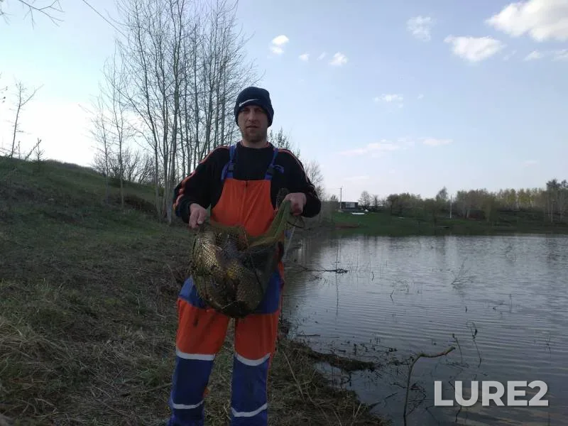 Carp — Yelchik, Apr 25, 2019