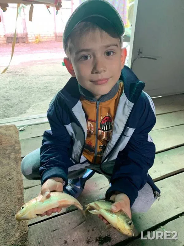 Crucian carp, Perch — Lipetskaya oblast, May 11, 2019