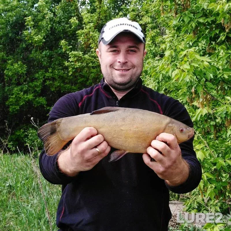 Tench — Matyra, May 12, 2019