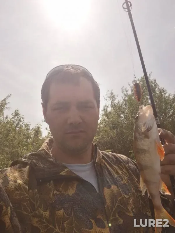 Perch, Pike — Bystraya Sosna, May 12, 2019