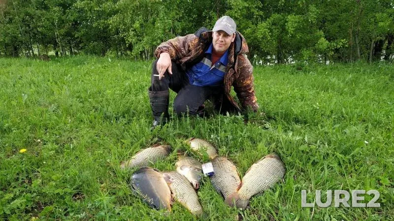 Carp — Yelchik, May 15, 2019