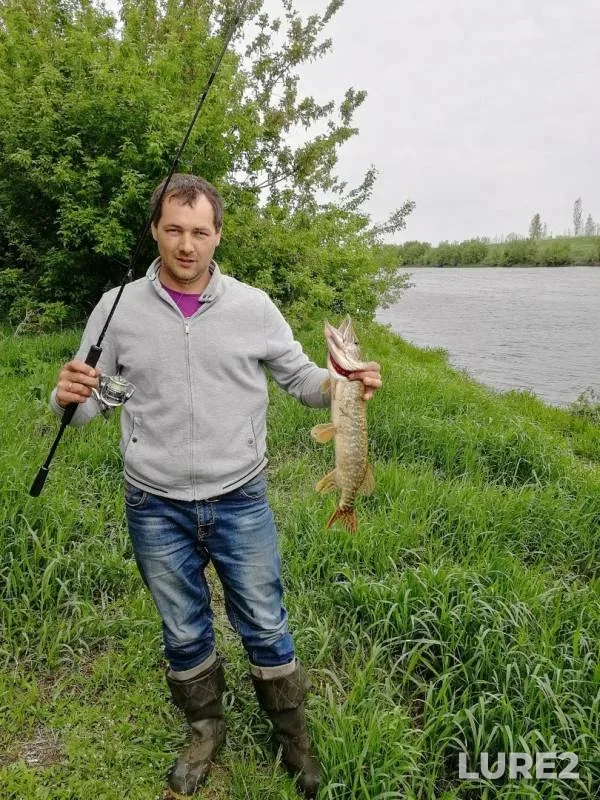 Pike — Don, May 17, 2019