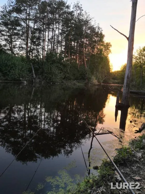Crucian carp — Yelchik, May 17, 2019