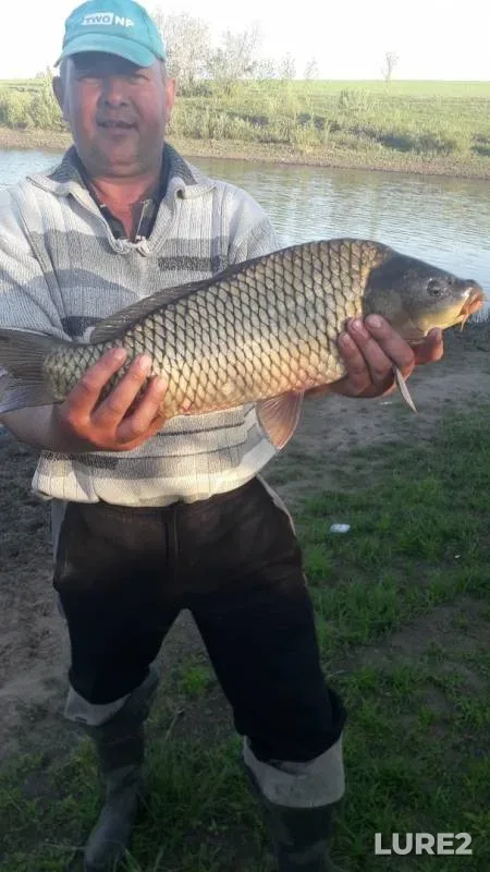 Carp — Yelchik, May 19, 2019