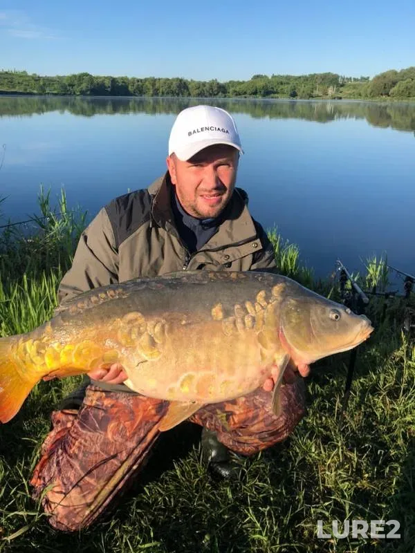 Carp — Nega, Jun 06, 2019