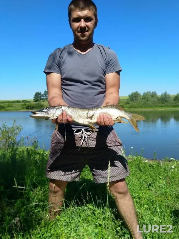 Pike — Lipetskaya oblast, Jun 20, 2019