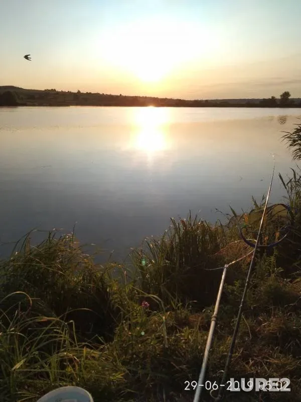 Carp — Shevchenkovskiy, Jun 30, 2019