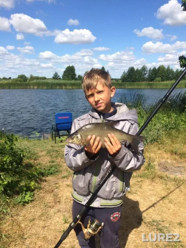 Bream — Voronezh, Jul 05, 2019