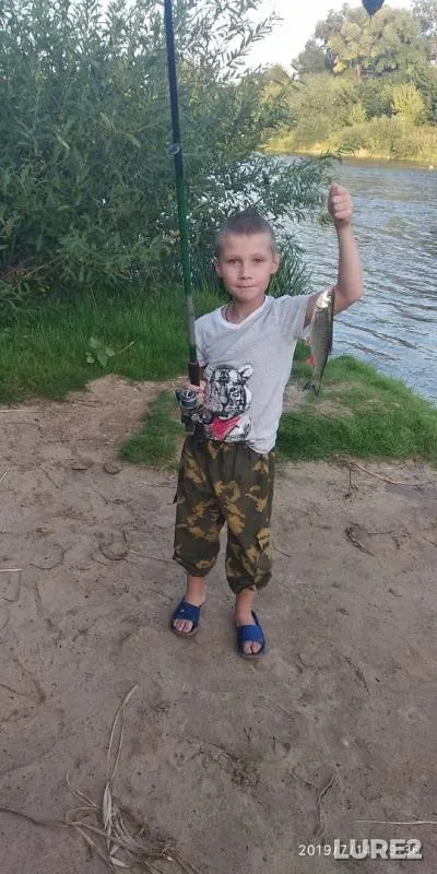 Chub — Bystraya Sosna, Jul 14, 2019