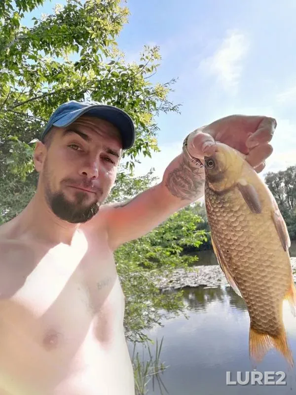 Crucian carp — Bystraya Sosna, Jul 22, 2019