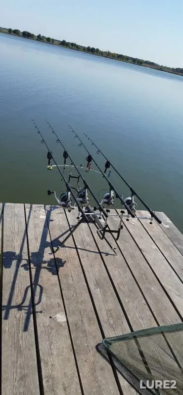 Carp — Nikolaveskiy platnik, Aug 31, 2019