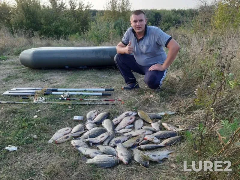 Crucian carp, Perch — Bystraya Sosna, Sep 08, 2019