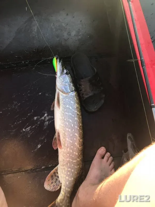 Pike — Don, Sep 12, 2019