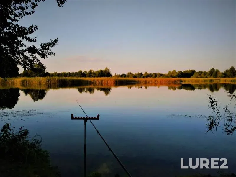 Bream, Roach — Voronezh, Sep 14, 2019
