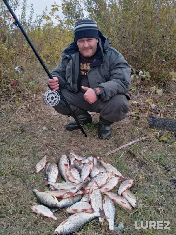 Roach — Bystraya Sosna, Oct 01, 2019