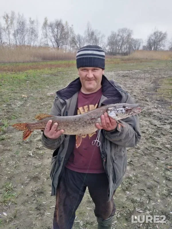 Pike — Svishnya, Oct 25, 2019