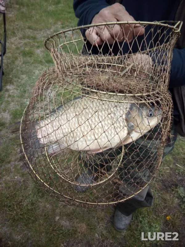 Crucian carp — Bolshiye Irdyagi, May 28, 2019