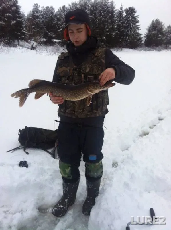 Pike — Arkhangelskaya oblast, Vinogradovskiy munitsipalnyy okrug, Jan 18, 2015