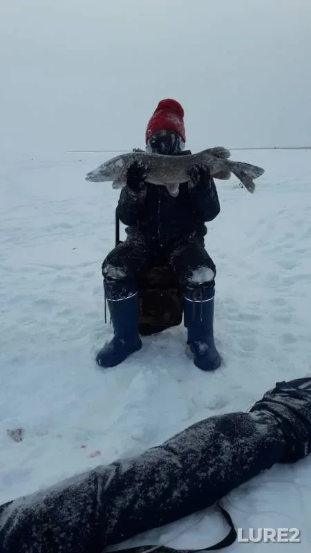Pike — Novoladozhskiy kanal, Feb 17, 2018