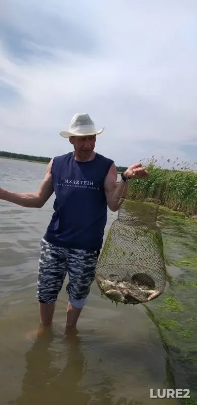 Crucian carp — Krivildy, Jun 04, 2019
