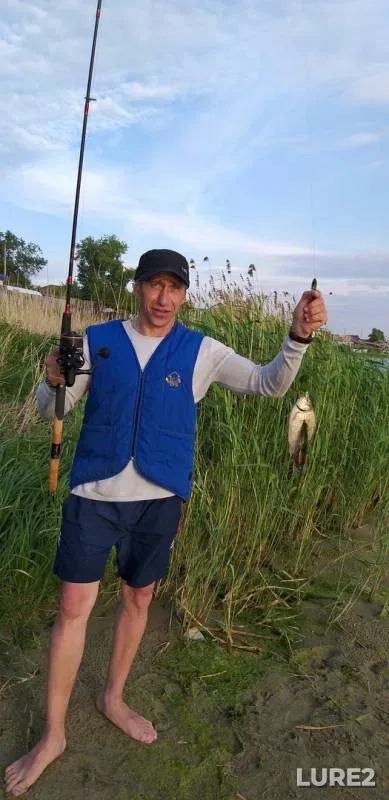 Crucian carp — Krivildy, Jun 12, 2019