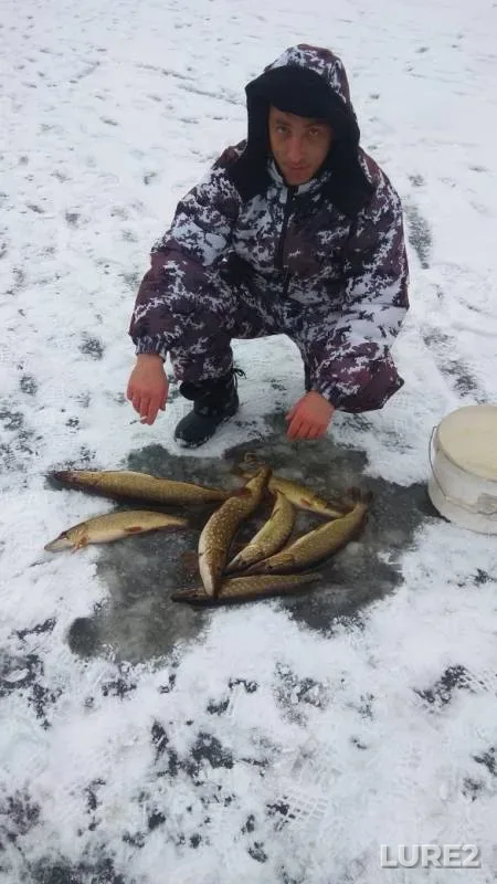 Pike — Sergeyevskoye, Dec 16, 2018