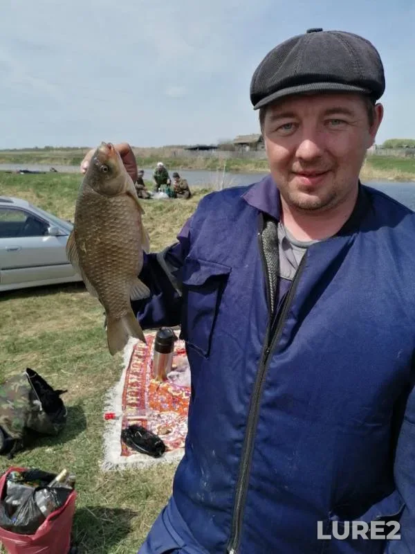 Crucian carp, Perch — Omskaya oblast, Krutinskiy rayon, May 13, 2019