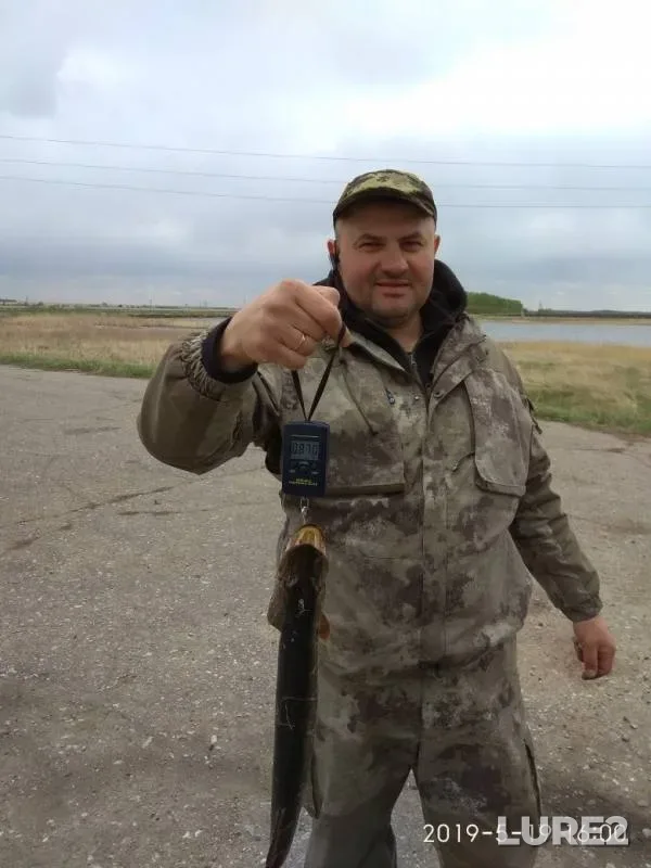 Pike — Om, May 19, 2019