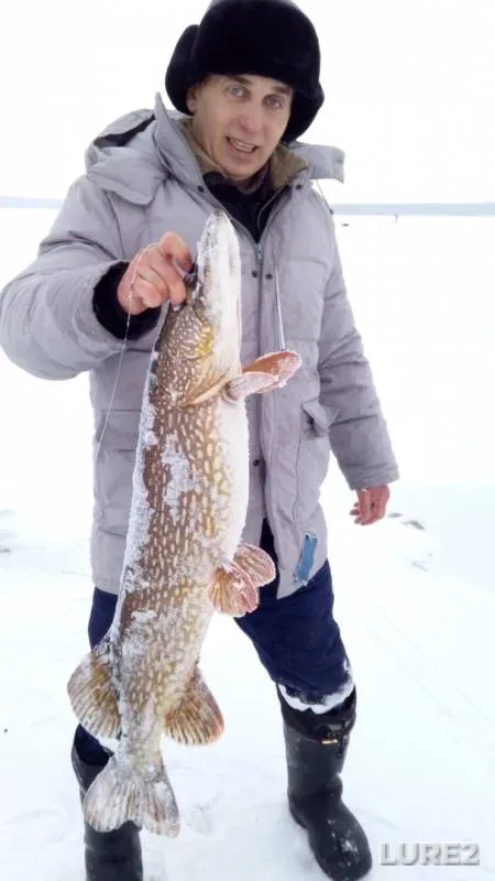 Pike — Bolshoy Kisegach, Dec 17, 2018