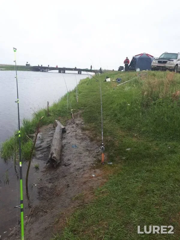 Carp — Karapuz, Jun 02, 2019
