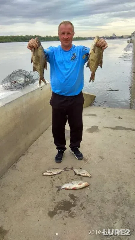 Bream — Irtysh, Jun 04, 2019