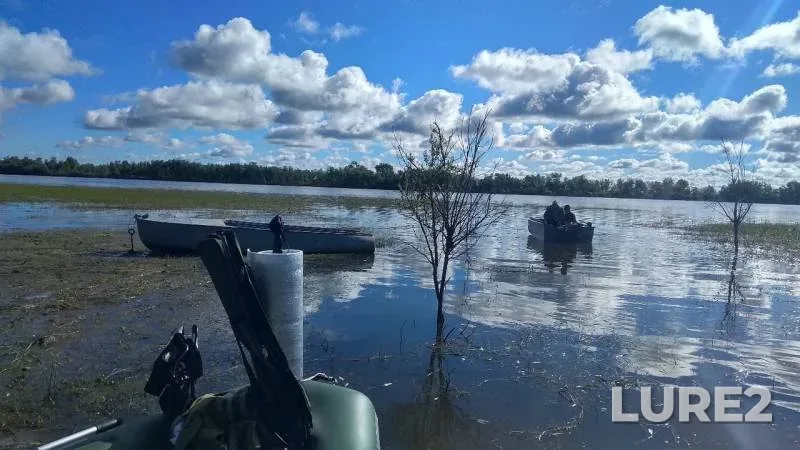 Perch, Pike — Omskaya oblast, Bolsherechenskiy rayon, Jun 17, 2019