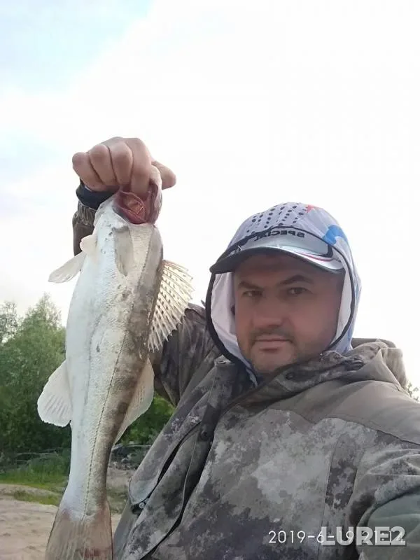 Zander — Irtysh, Jun 19, 2019