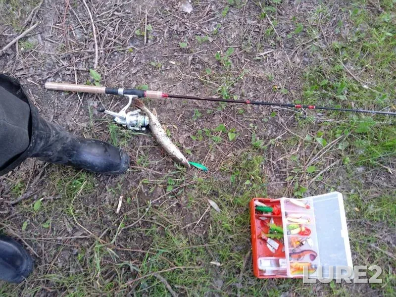Pike — Irtysh, Jun 20, 2019