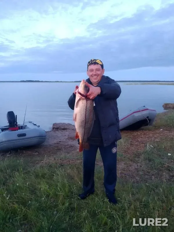 Carp — Chany, Jun 26, 2019