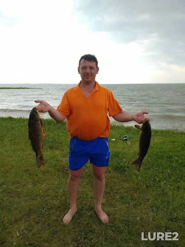 Carp — Chany, Jun 26, 2019