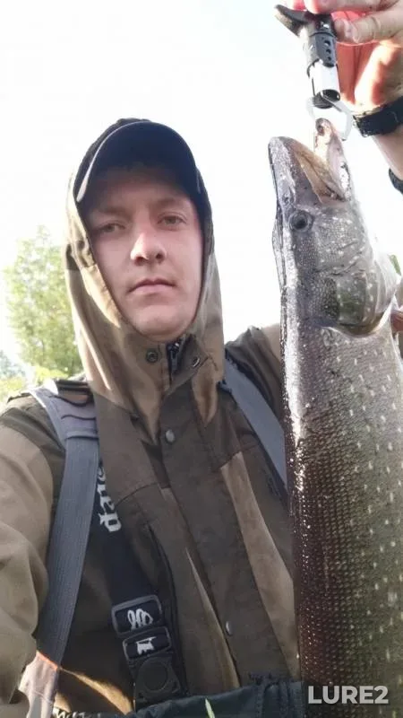 Pike — Omskaya oblast, Tyukalinskiy rayon, Jul 09, 2019
